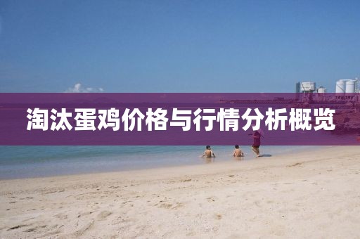 淘汰蛋鸡价格与行情分析概览
