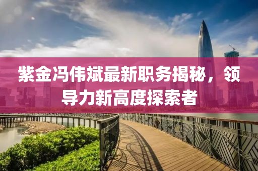 紫金冯伟斌最新职务揭秘，领导力新高度探索者