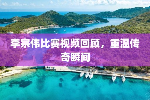 李宗伟比赛视频回顾，重温传奇瞬间