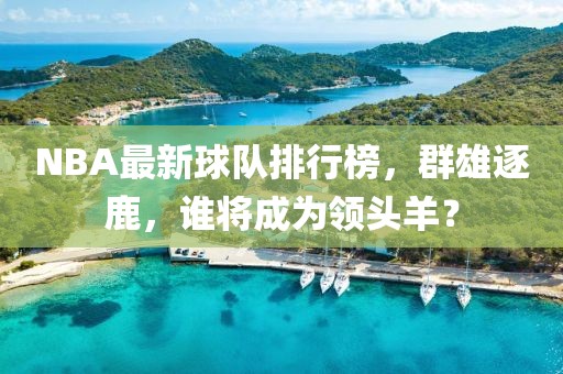 NBA最新球队排行榜，群雄逐鹿，谁将成为领头羊？