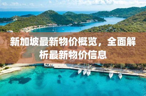 新加坡最新物价概览，全面解析最新物价信息
