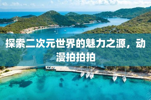 探索二次元世界的魅力之源，动漫拍拍拍