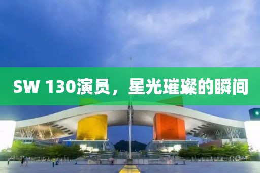 SW 130演员，星光璀璨的瞬间