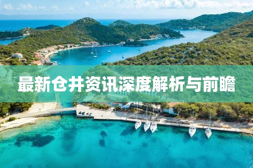 最新仓井资讯深度解析与前瞻