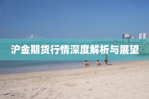 沪金期货行情深度解析与展望