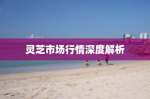 灵芝市场行情深度解析