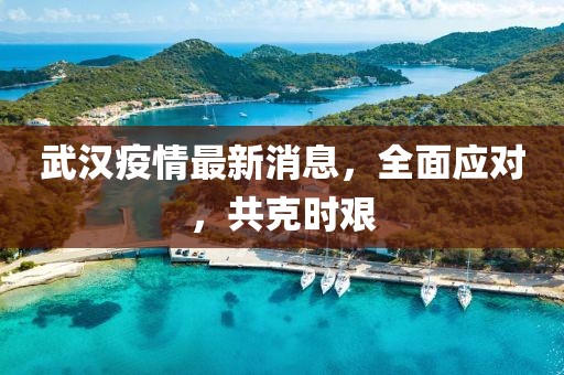 武汉疫情最新消息，全面应对，共克时艰
