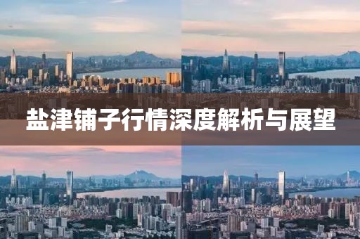 大橙先生 第11页