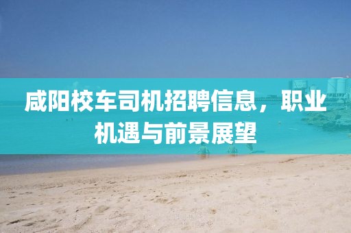 咸阳校车司机招聘信息，职业机遇与前景展望