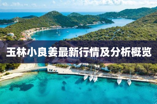 玉林小良姜最新行情及分析概览