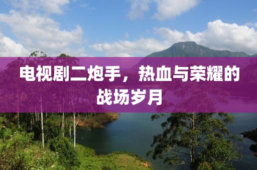 电视剧二炮手，热血与荣耀的战场岁月