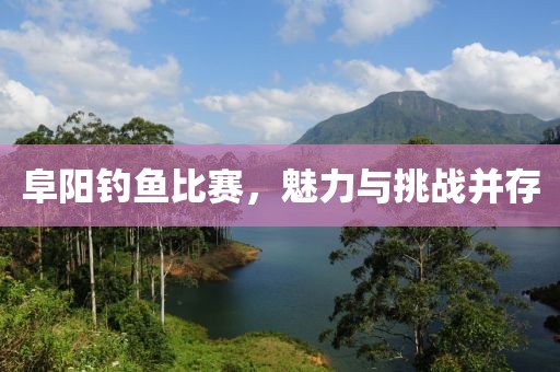 阜阳钓鱼比赛，魅力与挑战并存
