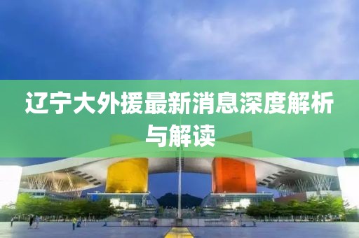 辽宁大外援最新消息深度解析与解读
