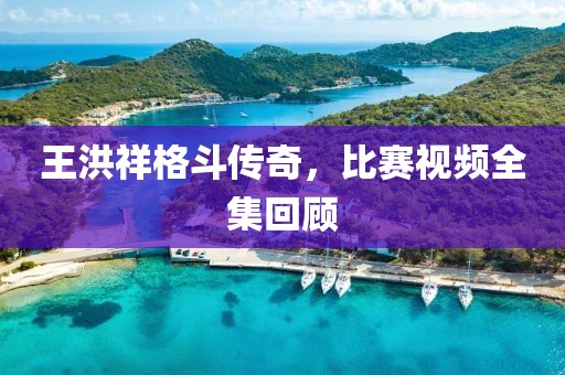 王洪祥格斗传奇，比赛视频全集回顾
