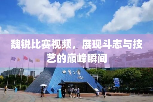 魏锐比赛视频，展现斗志与技艺的巅峰瞬间