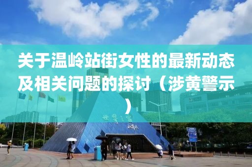 关于温岭站街女性的最新动态及相关问题的探讨（涉黄警示）
