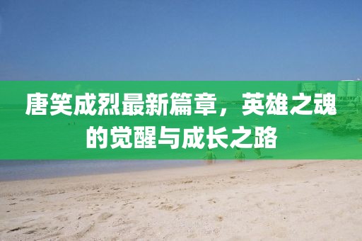 唐笑成烈最新篇章，英雄之魂的觉醒与成长之路