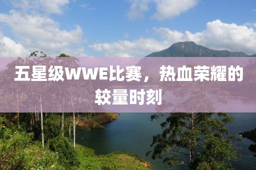 五星级WWE比赛，热血荣耀的较量时刻