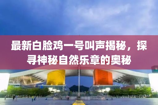 最新白脸鸡一号叫声揭秘，探寻神秘自然乐章的奥秘