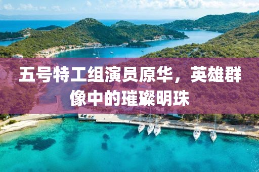 五号特工组演员原华，英雄群像中的璀璨明珠