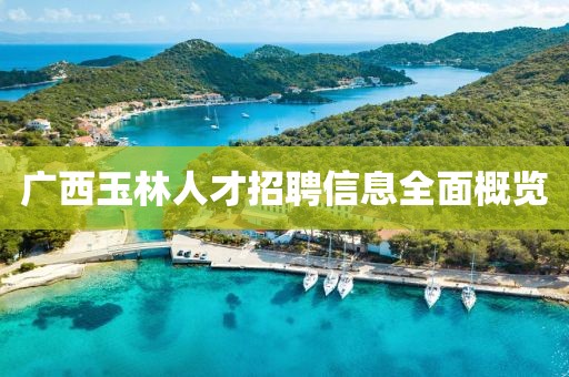 广西玉林人才招聘信息全面概览