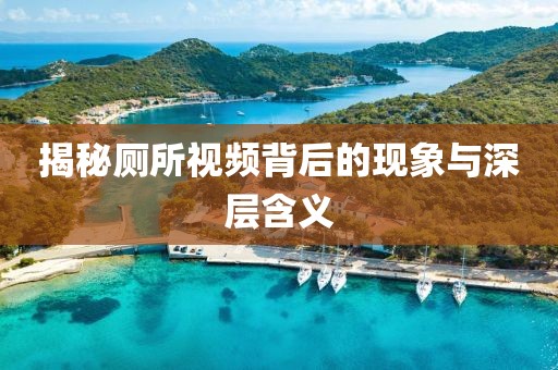 揭秘厕所视频背后的现象与深层含义