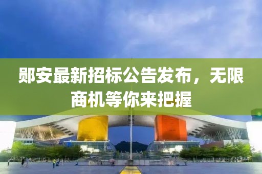 郧安最新招标公告发布，无限商机等你来把握