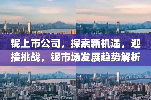 铌上市公司，探索新机遇，迎接挑战，铌市场发展趋势解析