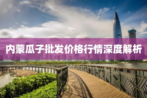 内蒙瓜子批发价格行情深度解析