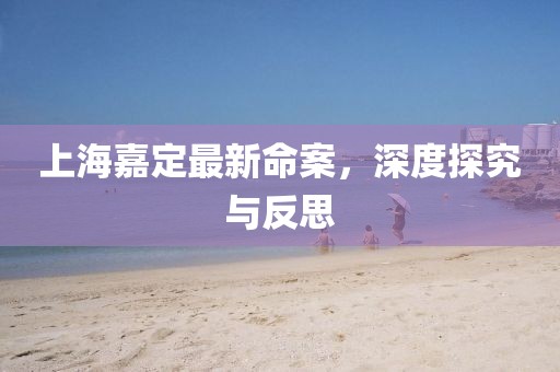 上海嘉定最新命案，深度探究与反思