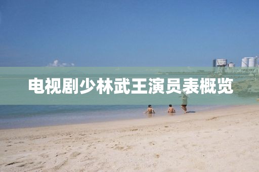 电视剧少林武王演员表概览