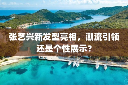 张艺兴新发型亮相，潮流引领还是个性展示？