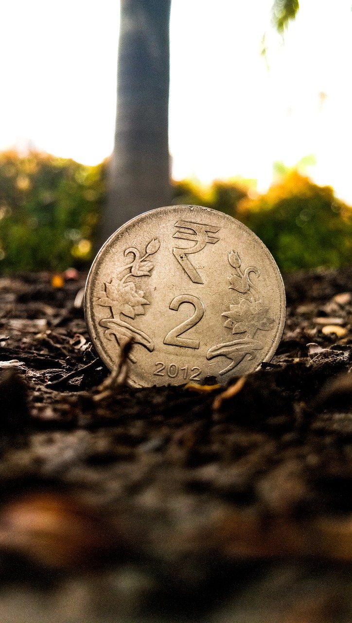 天然橡胶价格行情深度分析，市场动态与趋势预测