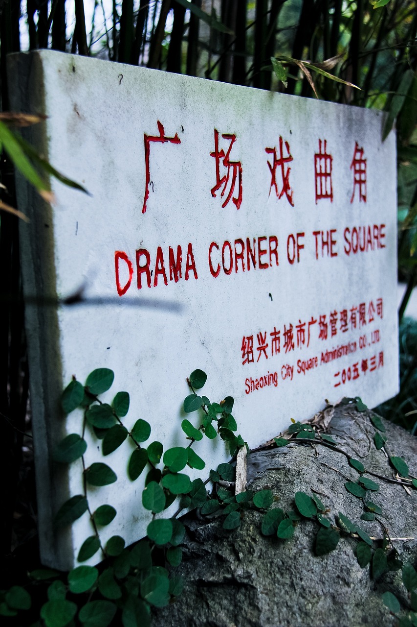 北碚磨心坡动态更新，城市绿色发展的脉搏与步伐
