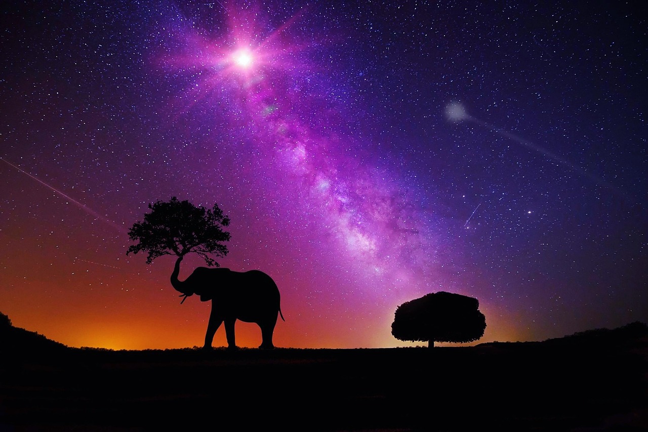 纪念逝去的艺术巨星，2019年离我们而去的明星