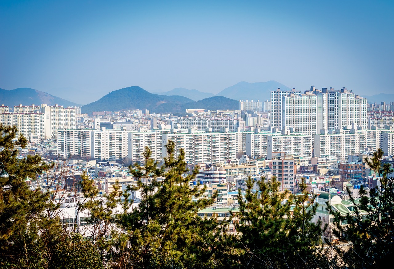 驻马店交通规划图，塑造未来城市流动蓝图