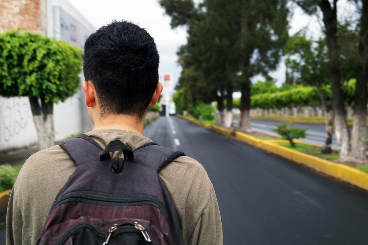 无主之城电影，探索未知边缘的生存之旅