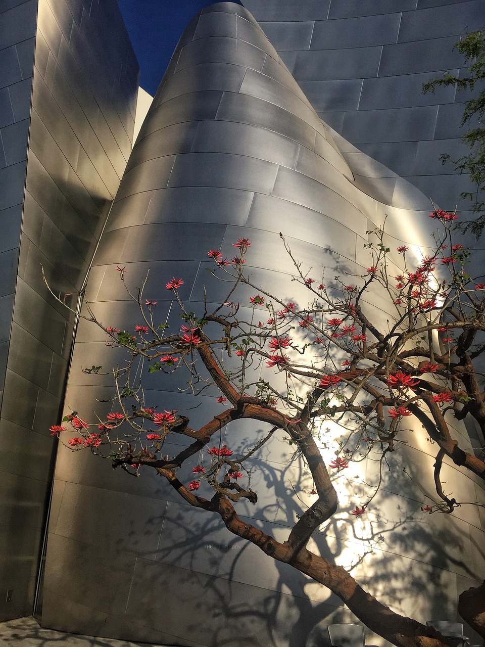 电影华丽的外出，探索现代都市的华丽与复杂之旅