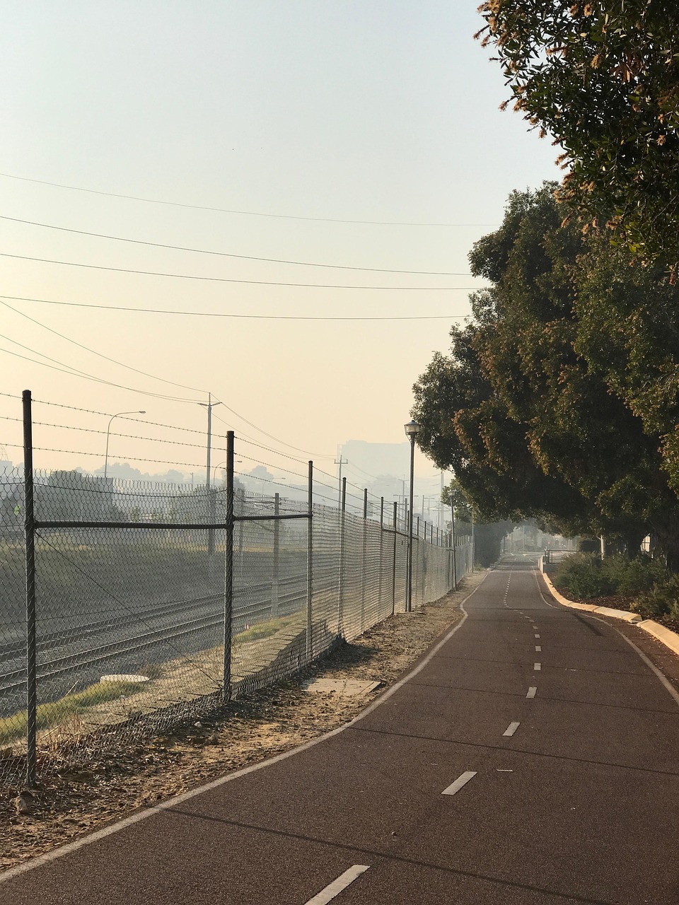 新型地膜土豆高效栽培技术指南