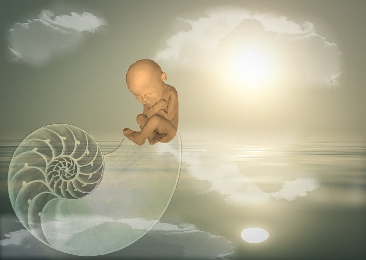 异域降生资讯，全球新生儿文化的深度探索与广度呈现