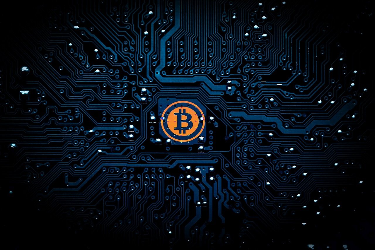 杜素真，演艺之路的闪耀之星