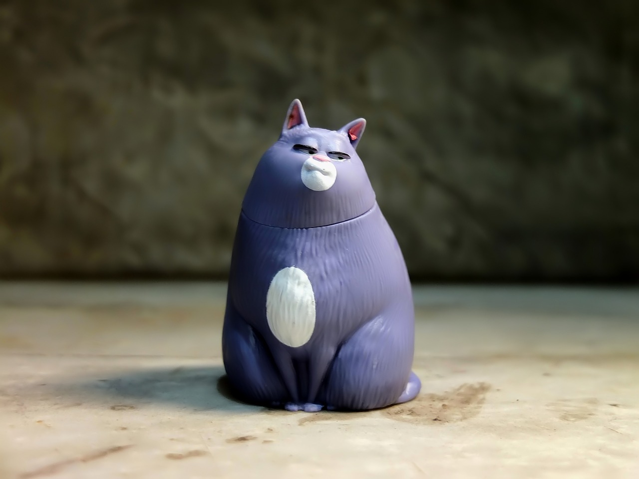 猫咪电影网，探索猫咪魅力的影视世界