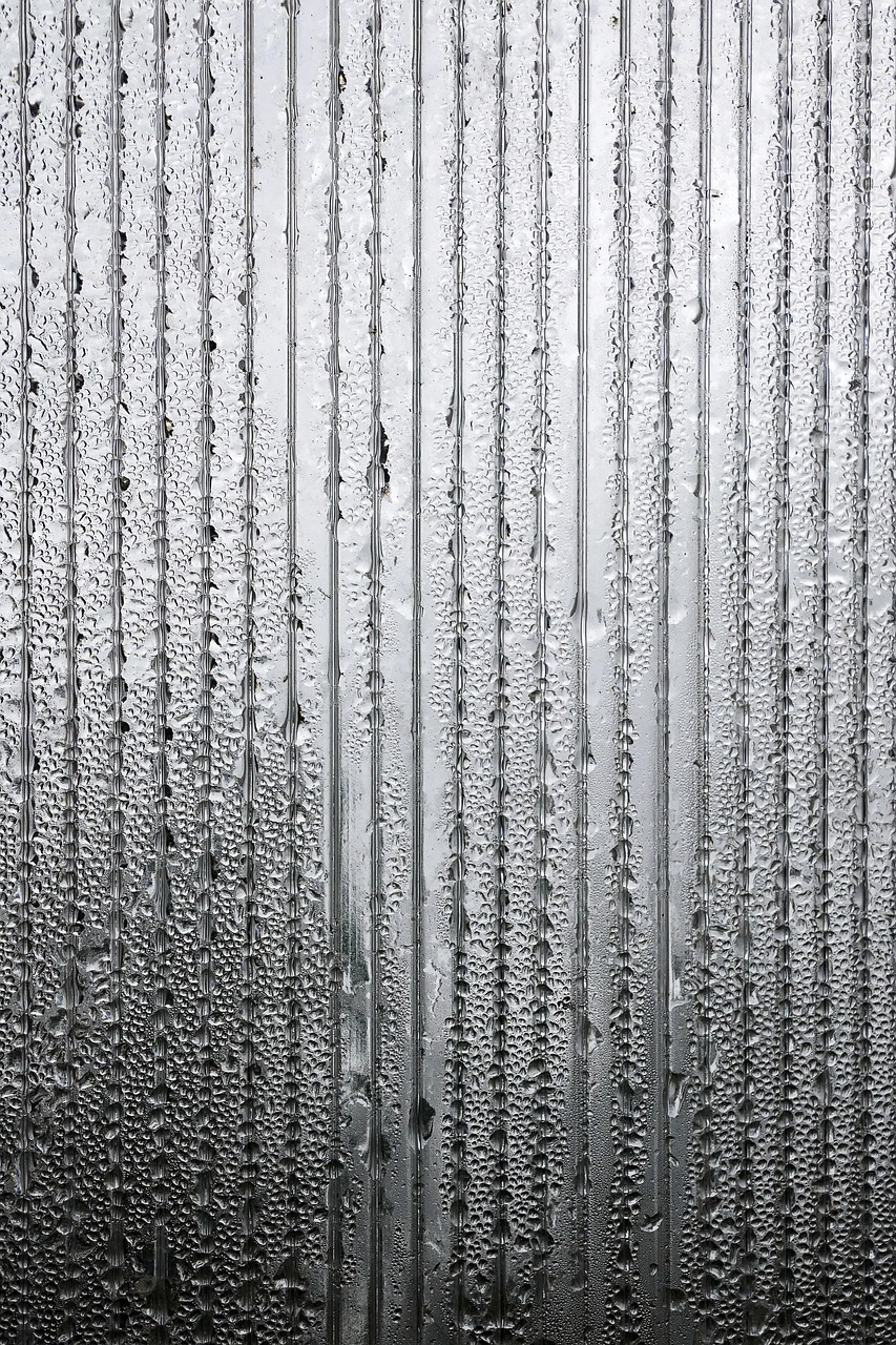 湖州暴雨最新动态，气象监测进展与应对措施的最新进展报告