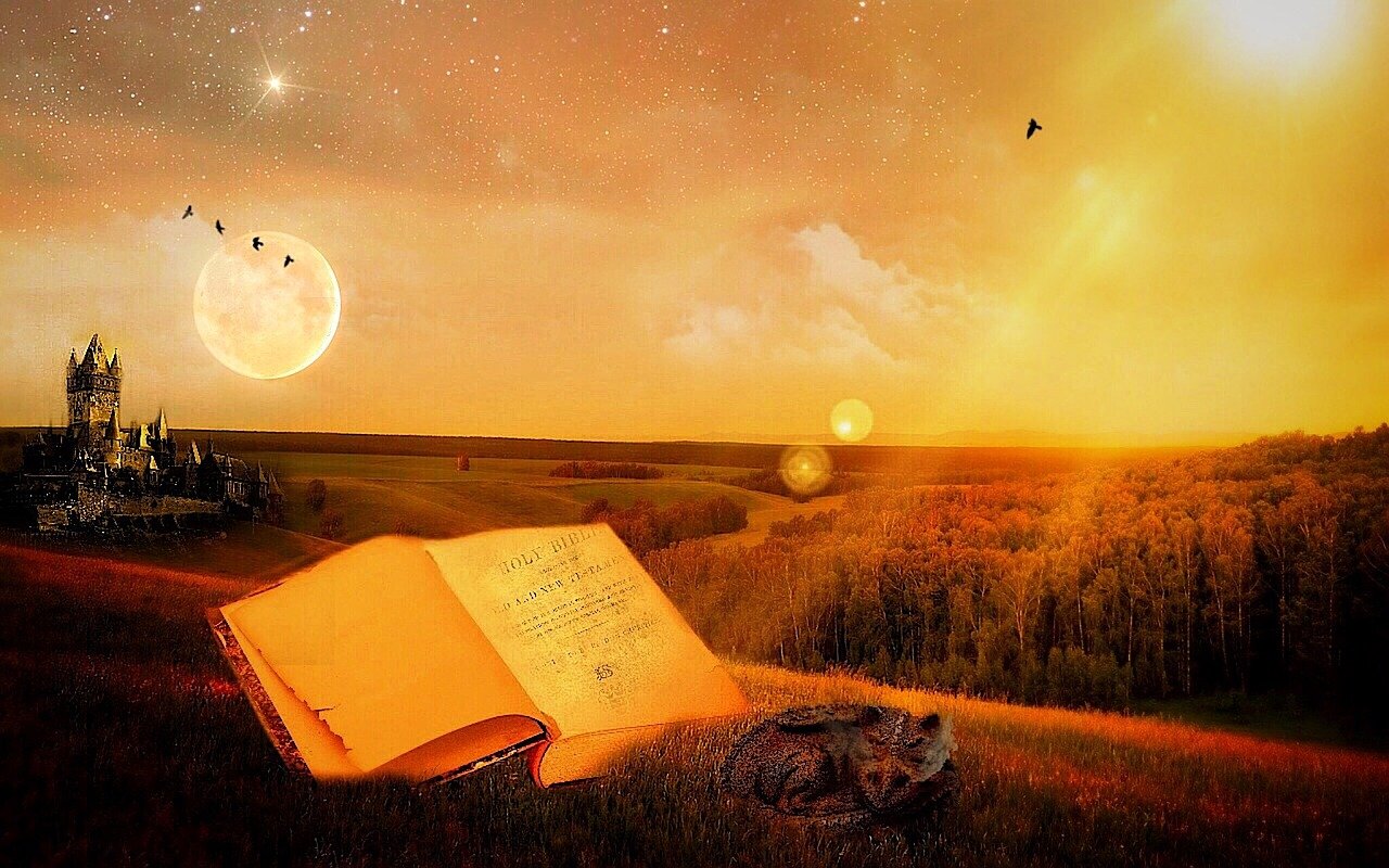 追梦明星之路，探寻梦境中的星光故事