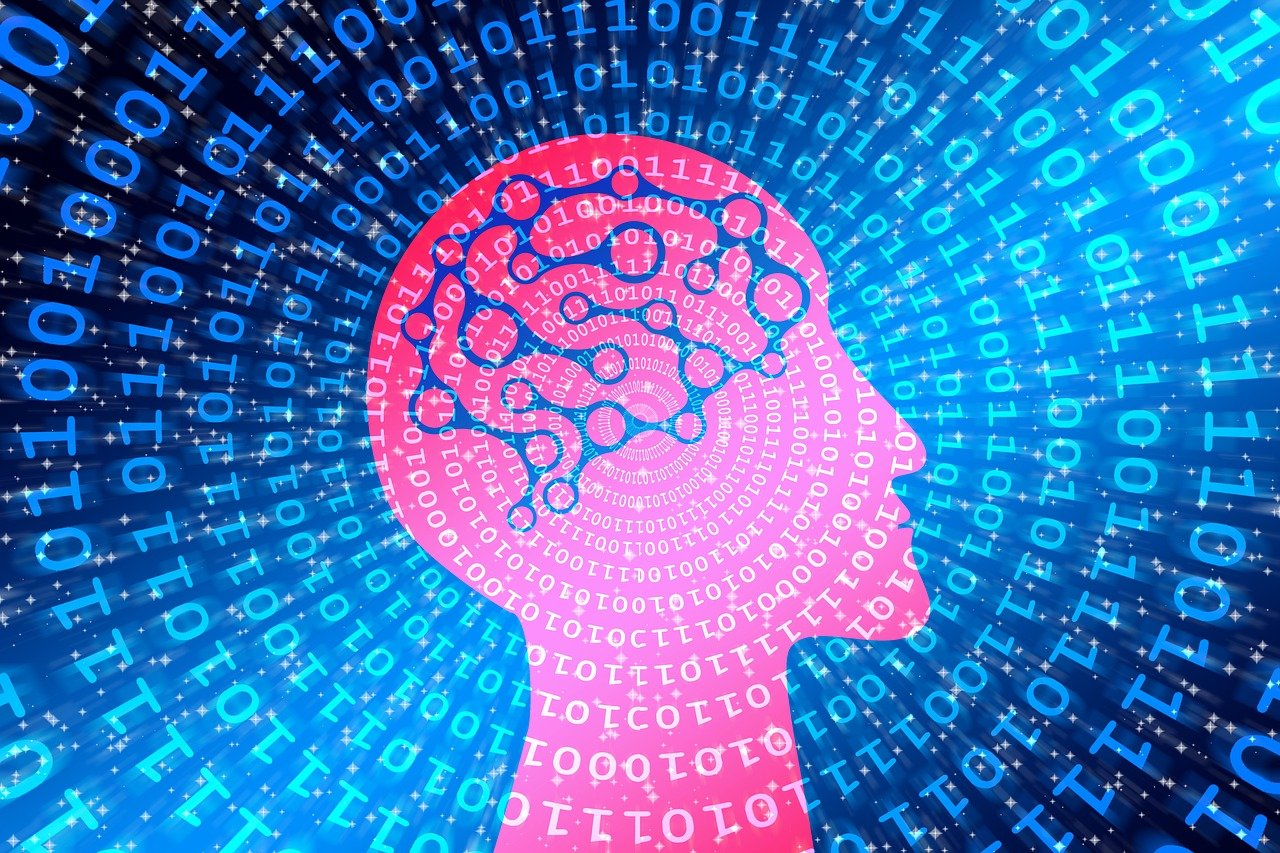 数字时代电影世界的探索与发现，众多电影网深度解析