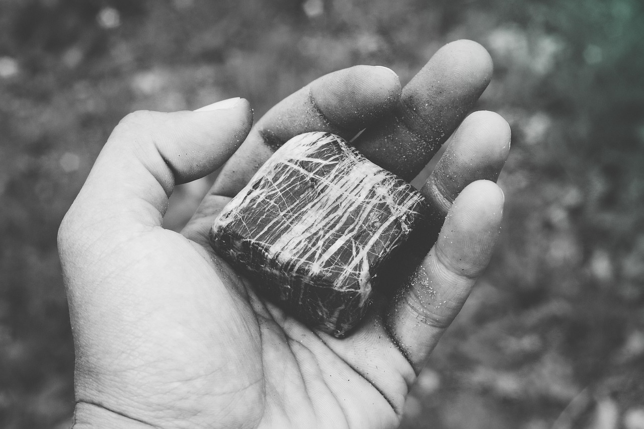 世界脊髓损伤最新突破，重塑未来的希望之光