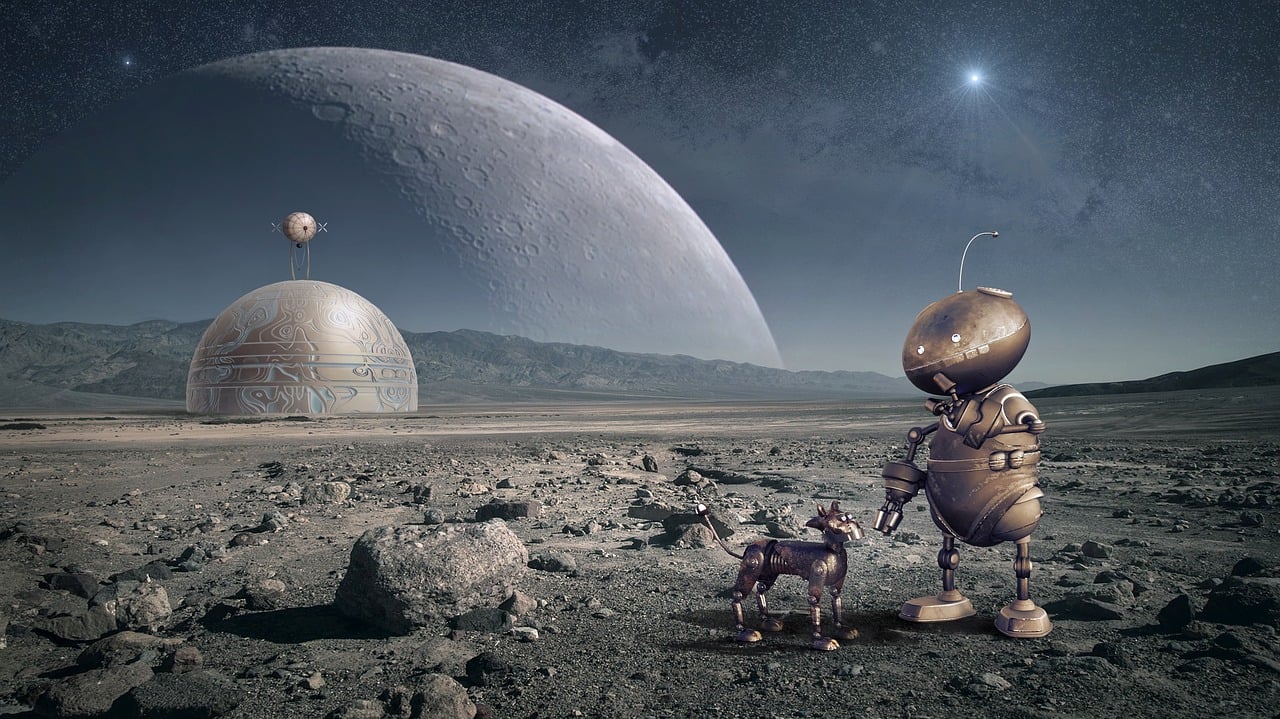 葬礼明星，聚焦生死间的特殊光芒，探寻生命之光的力量