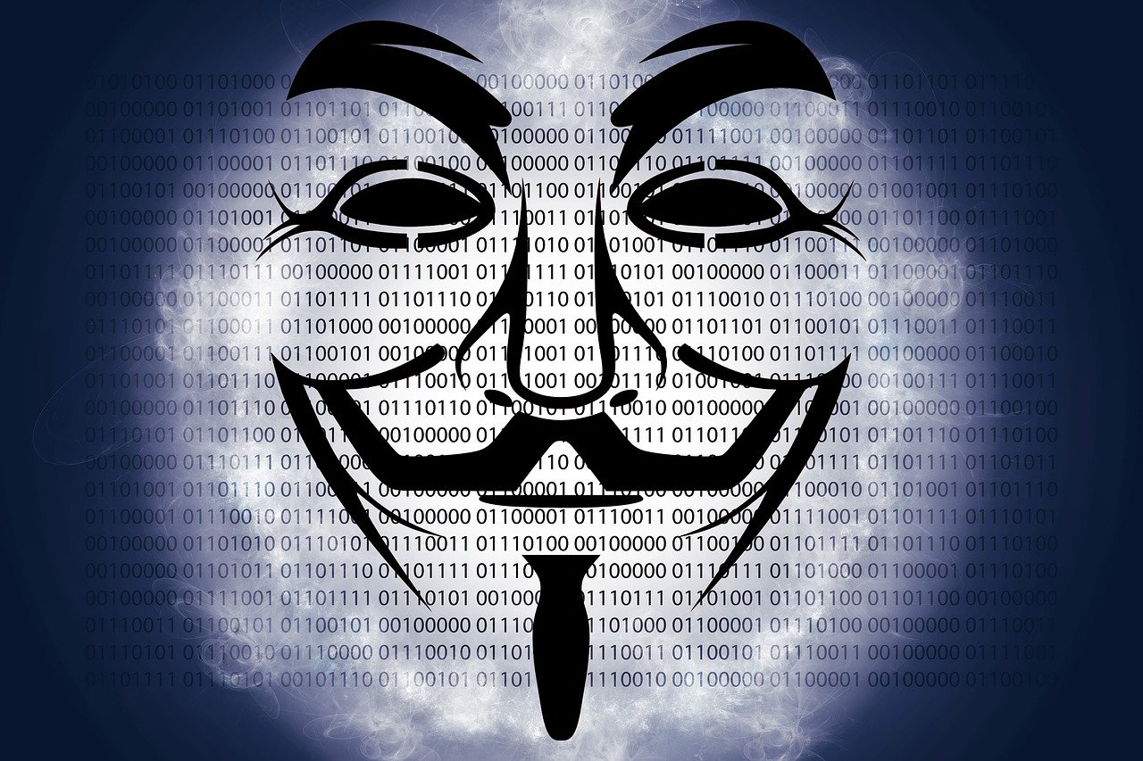 金希贞新动态揭秘，探索未知，引领未来