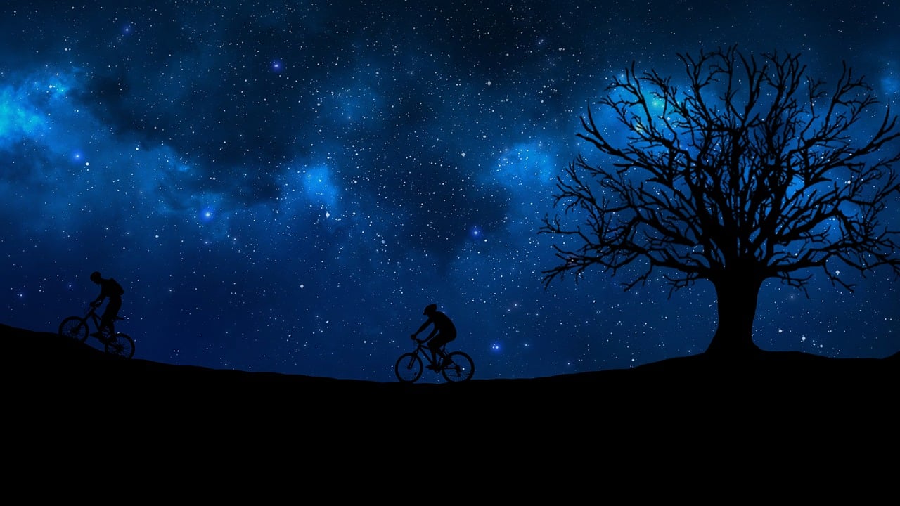 鄢明星，璀璨之星的光芒闪耀人生之路