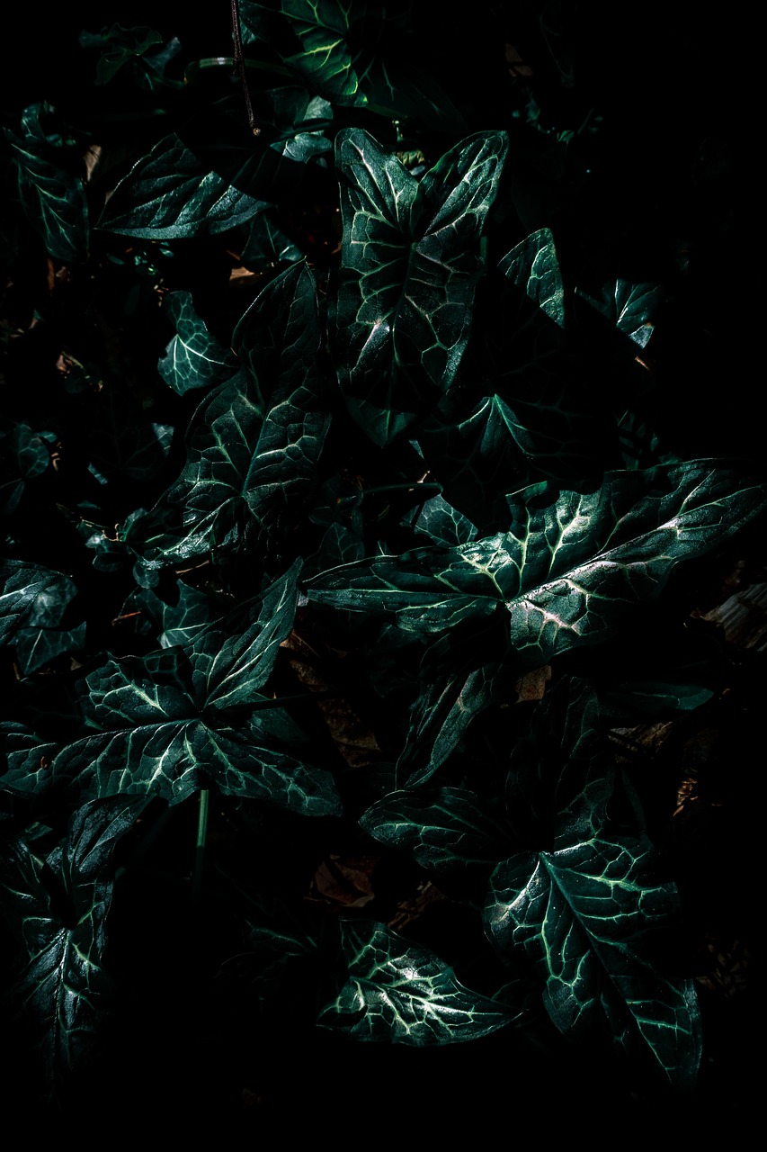 异能世界的奇幻之旅，神农异能传最新章节免费阅读